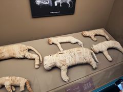 -上海博物馆-停车场