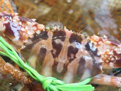 -太古汇海鲜姿造(延寿店)
