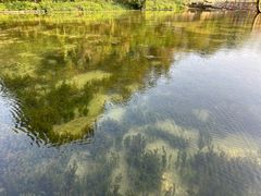 -靖西鹅泉风景区