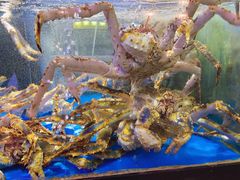 -蟹之国·精品蟹料理(极地店)