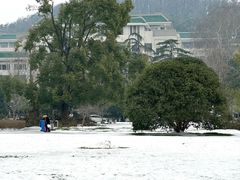 -武汉大学老图书馆