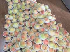 -南汇新场正宗水蜜桃采摘