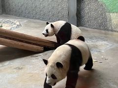 -西安秦岭野生动物园
