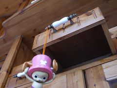 -金山农民画村-枫泾波兰倒置屋