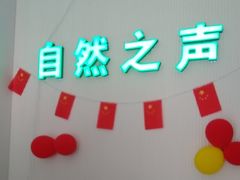 -自然之声助听器·呼吸机(兰考店)