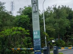 -福道