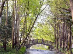 -中国天府农业博览园