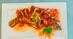 -弗蕾亚·和月月子调理院(东湖店)