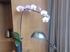 -深圳湾木棉花酒店
