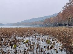 -北山街历史文化街区