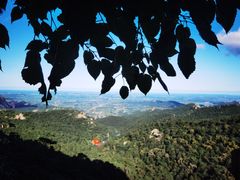 -大芦花风景区