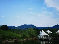 -帐篷客·溪龙茶谷度假酒店