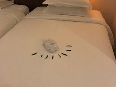 -三亚湾红树林度假世界(木棉酒店)