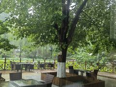 -北京民族园葉子里酒店(鸟巢店)