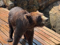 -海南热带野生动植物园