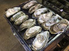 -蚝专家(北滘店)