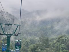 -野象谷景区