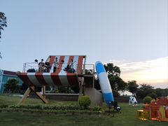 -荷兰花海