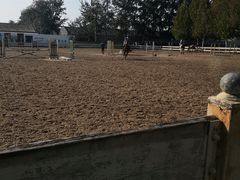 -北京群众马术培训基地