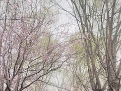 -三里河公园