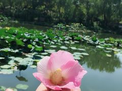 -新江湾城公园