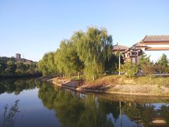 -函谷关历史文化旅游区