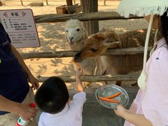 -西安秦岭野生动物园