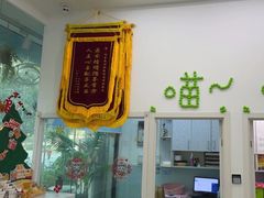 -纳吉亚猫专科动物医院·北北分院