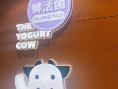 -一只酸奶牛(双流万达广场店)