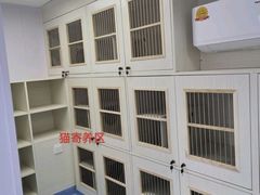 -博特宠物医院24h犬猫全科.骨科·异宠