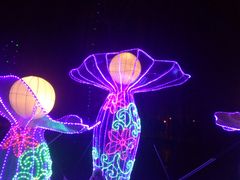 -长春公园(普阳街道)