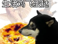 -月龍吟(朝龙汇店)