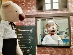 -济州岛泰迪熊博物馆