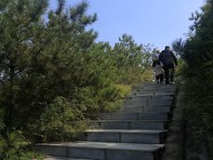 -五龙城郊森林公园