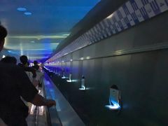 -白鹤梁水下博物馆