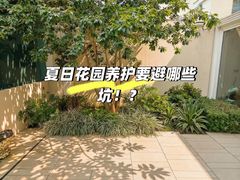-海底捞火锅(珠影星光城夜宵主题店)