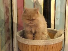 -小时光咖啡馆(开森度假森林店)