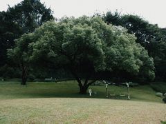 -云溪植物园
