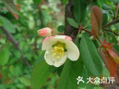 -兰溪青年公园