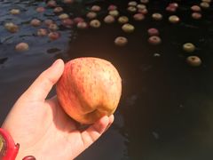 苹果浴-深业半汤御泉庄温泉