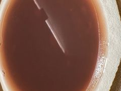 -佬肥猫·浙江乡村菜(国华广场店)