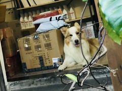 -豆舞咖啡(民乐路店)