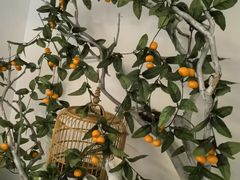 -麦子MaiMassage(打浦桥店)