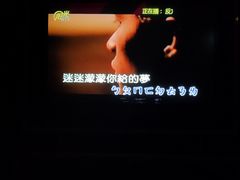 -乐道好声音量贩式KTV(北行店)