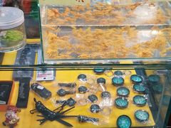 -中福百货(望京店)