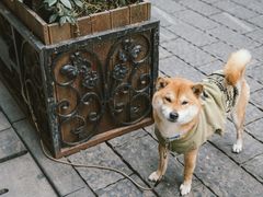 -飞马旅黎黄陂路文旅街区