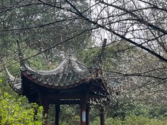 -杭州植物园