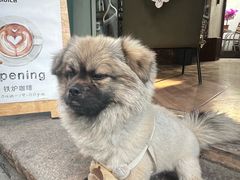 -铁炉咖啡(河下古镇店)