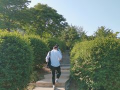 -大连东软信息学院(软件园校区)