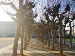 -旧金山市政厅